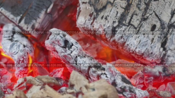 Костровище, горящее полено, пламя и угли. A bonfire, a burning log, flames and coals. Стоковое видео, видеограф Татьяна Д / Фотобанк Лори