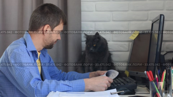 Кот внимательно наблюдает как работает молодой человек удаленно на дому. Стоковое видео, видеограф Иванов Алексей / Фотобанк Лори