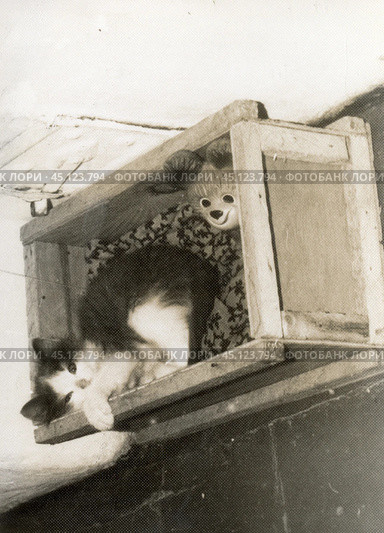 Котёнок лежит в почтовой коробке от бывшей посылки в 1980-е годы. Стоковое фото, фотограф Retro / Фотобанк Лори