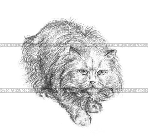 Крадущаяся кошка - Crouching cat. Стоковая иллюстрация, иллюстратор Марина Ефремова / Фотобанк Лори