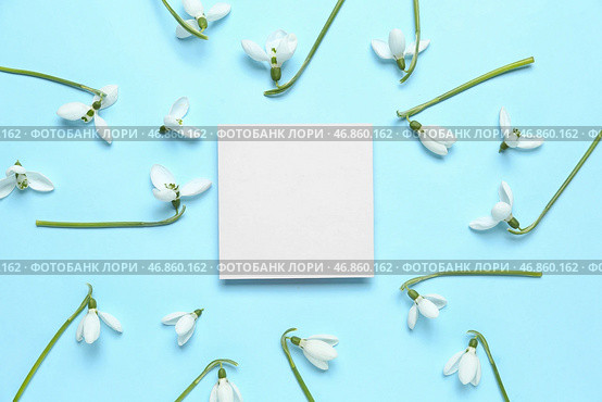 Красивые подснежники и открытка на синем фоне. Стоковое фото, фотограф Pixel_shot / Фотобанк Лори