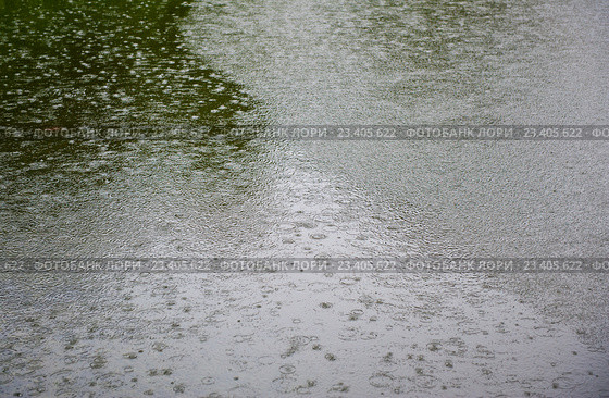 Круги на поверхности воды во время дождя. Стоковое фото, фотограф E. O. / Фотобанк Лори