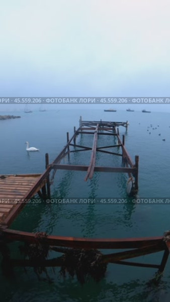Крым, Евпатория, курорт, Чёрное море, лебеди, туман, сваи причала, штиль (2023 год). Стоковое видео, видеограф Андрей Макаренко / Фотобанк Лори