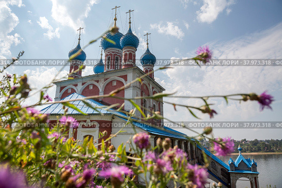 Купола православного храма Казанской иконы Божией Матери в городе Тутаеве (бывший Романов-Борисоглебск) на фоне разнотравья летним солнечным днем, Ярославская область, Россия (2022 год). Редакционное фото, фотограф Николай Винокуров / Фотобанк Лори