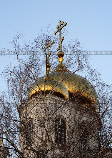 Купола России и русские берёзы (2010 год). Стоковое фото, фотограф Марина Сапрунова / Фотобанк Лори