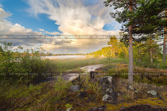 Lake Shore. Summer landscape. Стоковое фото, фотограф Виталий Веревкин / Фотобанк Лори