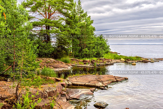 Landscape of the shore of Valaam island on Lake Ladoga. Стоковое фото, фотограф Владимир Ушаров / Фотобанк Лори