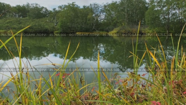 Landscape on small north lake. Стоковое видео, видеограф Михаил Коханчиков / Фотобанк Лори