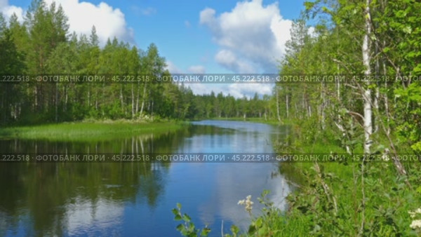 landscape with river and forest in Karelia. Стоковое видео, видеограф Михаил Коханчиков / Фотобанк Лори