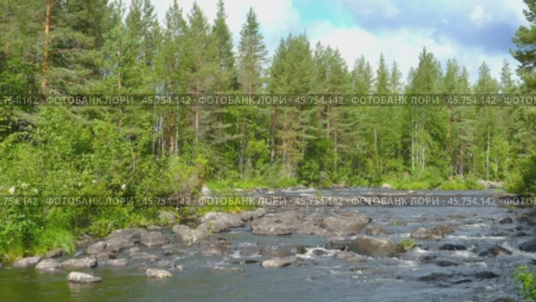 Landscape with river and forest in Karelia. Стоковое видео, видеограф Михаил Коханчиков / Фотобанк Лори