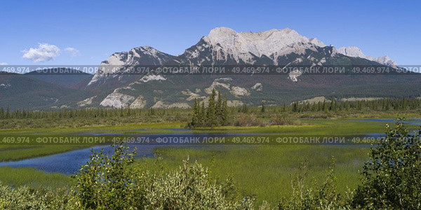 Landscape with snowcapped mountains in the background, Improvement District 12, Yellowhead Highway, Jasper National Park, Jasper, Alberta, Canada. Стоковое фото, агентство Ingram Publishing / Фотобанк Лори