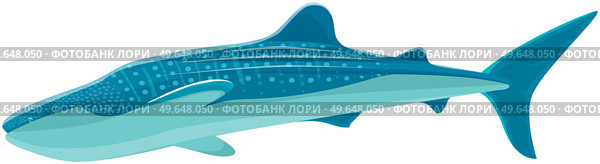 Large predatory marine fish. Ravenous animal living in sea or ocean. Whale shark isolated on white. Raptorial whale shark wild nautical animal dangerous fish. Cold-blooded predator vector illustration. Raptorial whale shark wild nautical animal dangerous fish. Cold-blooded predator living in ocean. Стоковая иллюстрация, агентство Ingram Publishing / Фотобанк Лори