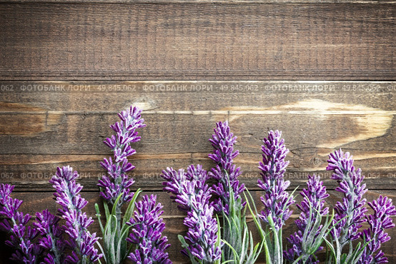 lavender. Стоковое фото, агентство Ingram Publishing / Фотобанк Лори