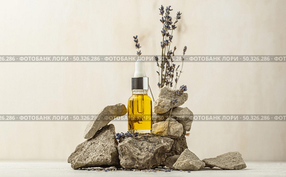 lavender oil bottle arrangement. Resolution and high quality beautiful photo. lavender oil bottle arrangement. High quality beautiful photo concept. Стоковое фото, агентство Ingram Publishing / Фотобанк Лори