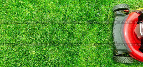 Lawn mower cutting green grass in backyard.Gardening background.. Lawn mower. Стоковое фото, агентство Ingram Publishing / Фотобанк Лори