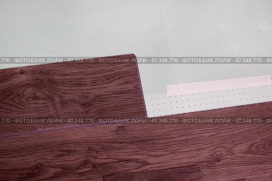 Laying laminate boards or parquet on the underlying floor layer. Стоковое фото, фотограф Виктория Тельминова / Фотобанк Лори