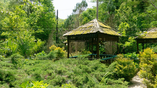 LAZAREVSKOE, SOCHI, RUSSIA - MAY, 29, 2021: Gazebos for tourists in the recreation area of Berendeevo Kingdom, Sochi. Редакционное фото, фотограф Tae Mi / Фотобанк Лори