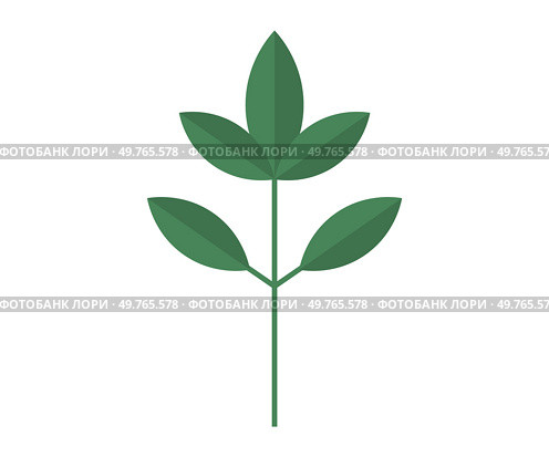 Leaves vector illustration. In botanical realm, leaves and foliage symbolize very essence life Growing garden is journey exploration into intricate world leaves Leaves grow gracefully, intertwining. Leaves. Botanical wonders unfold as leaves unfurl and blossoms burst into bloom. Стоковая иллюстрация, агентство Ingram Publishing / Фотобанк Лори
