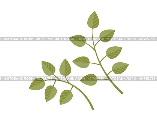 Leaves vector illustration. Leaves grow and intertwine, creating verdant tapestry in garden The leaves metaphor eloquently expresses poetic dance natures ballet Blooms and blossoms are artistic. Leaves. Harvesting leaves is art, celebrating abundance botanical wonders. Стоковая иллюстрация, агентство Ingram Publishing / Фотобанк Лори