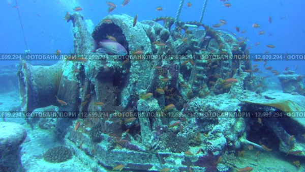 Лебедка на затонувшем судне SS Thistlegorm в Красном море (2014 год). Редакционное видео, видеограф KEN VOSAR / Фотобанк Лори