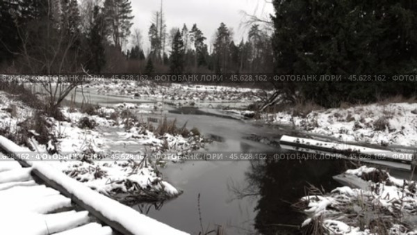 Лесное болото. Зима в лесу. Лосиный остров. Подмосковье. Декабрь. Forest swamp. Winter in the forest. Moscow region. December. Стоковое видео, видеограф Горшков Александр / Фотобанк Лори