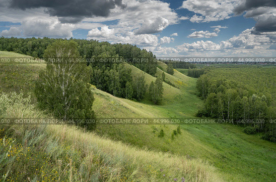 Лесостепные ландшафты Томской области. Стоковое фото, фотограф Алексей Прокопьев / Фотобанк Лори