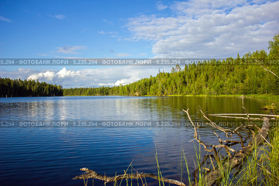 Летний пейзаж с рекой. Стоковое фото, фотограф Наталья Осипова / Фотобанк Лори