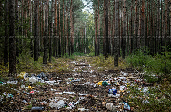 Littered forest trail. Стоковое AI-изображение, AI-художник Данил Руденко / Фотобанк Лори