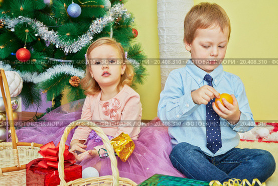 Little girl and boy sit on furry rug under christmas tree, boy skins tangerin with concentation. Стоковое фото, фотограф Losevsky Pavel / Фотобанк Лори