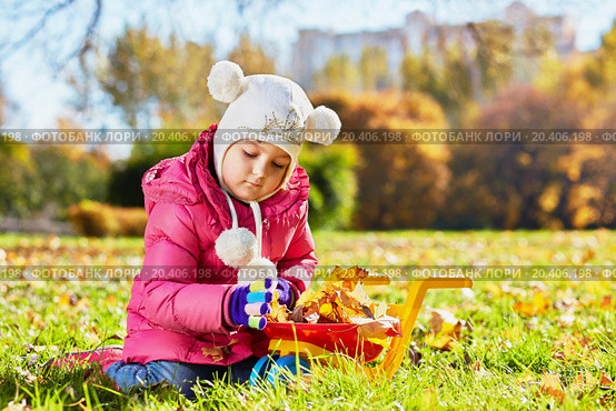 Little girl sits on sunny glade in autumn park and uploads plastic wheelbarrow with dried yellow leaves. Стоковое фото, фотограф Losevsky Pavel / Фотобанк Лори
