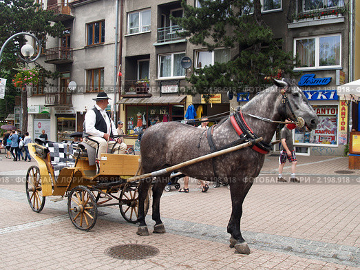 Лошадь для катания  в Закопане (2010 год). Редакционное фото, фотограф Ирина Борсученко / Фотобанк Лори