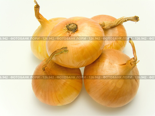 Лук. Onion. Стоковое фото, фотограф Юрий Борисенко / Фотобанк Лори