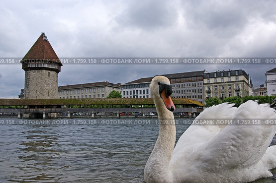 Люцерн, Швейцария (2010 год). Стоковое фото, фотограф Владимир Журавлев / Фотобанк Лори