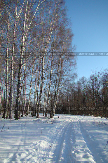 Лыжня. Стоковое фото, фотограф Карелин Д.А. / Фотобанк Лори