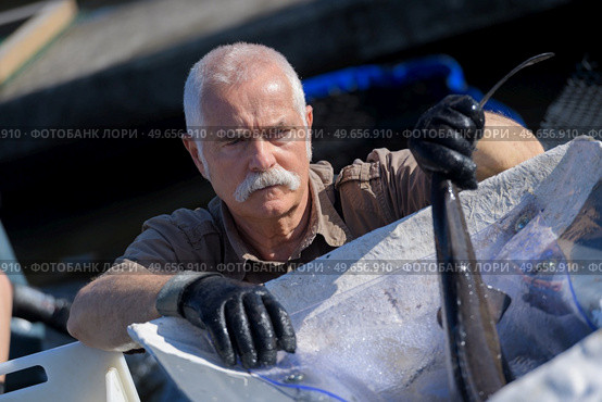man working at a fishfarman. Стоковое фото, агентство Ingram Publishing / Фотобанк Лори