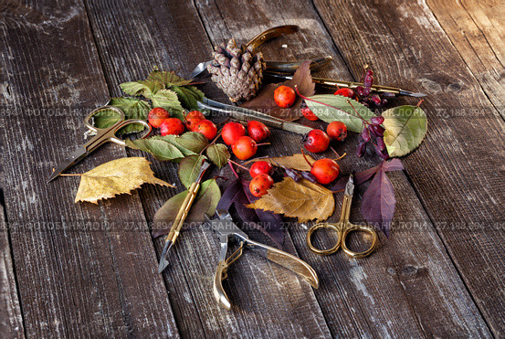 Manicure tools among the yellow leaves. Стоковое фото, фотограф Юрий Шурчков / Фотобанк Лори