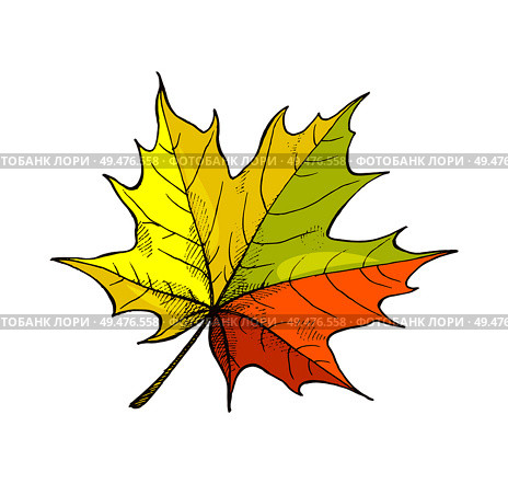 Maple leaf autumnal symbol isolated icon vector. Frondage natural element, colorful sign of autumn season and winter approaching. Dry fallen foliage. Maple Leaf Autumnal Symbol Isolated Icon Vector. Стоковая иллюстрация, агентство Ingram Publishing / Фотобанк Лори