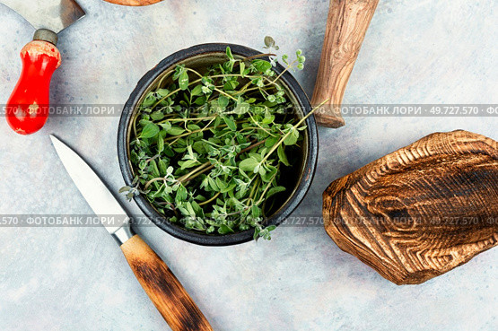 Marjoram, a hot spice with a sweet smell, medicinal plant. Origanum majorana. Fresh marjoram leaves on the table. Стоковое фото, агентство Ingram Publishing / Фотобанк Лори