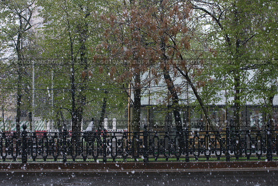 May 8, 2017, snowfall in the streets of Moscow. Стоковое фото, фотограф Ткачёва Ольга / Фотобанк Лори