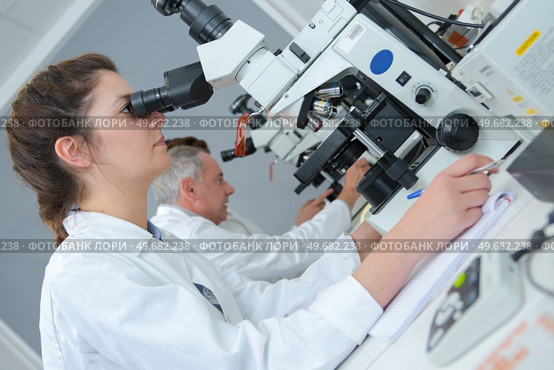 medical technologist making observations. Стоковое фото, агентство Ingram Publishing / Фотобанк Лори