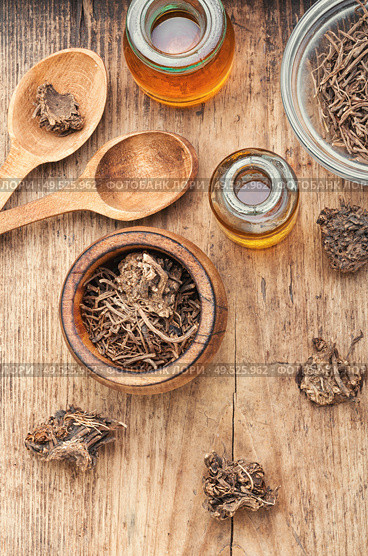 Medicinal tincture from the roots and rhizomes of valerian.Valeriana officinalis. Herbal tincture of valerian. Стоковое фото, агентство Ingram Publishing / Фотобанк Лори