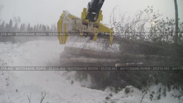 Механизированная рубка леса. Валочно-пакетирующая машина John Deere 903K в работе. Mechanized felling clearing. John Deere 903K feller buncher at work. Стоковое видео, видеограф Евгений Романов / Фотобанк Лори