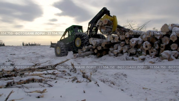 Механизированная вырубка леса. Трелевочный трактор John Deere 748H в работе. Mechanized felling clearing. John Deere 748H skidder at work. (2020 год). Редакционное видео, видеограф Евгений Романов / Фотобанк Лори