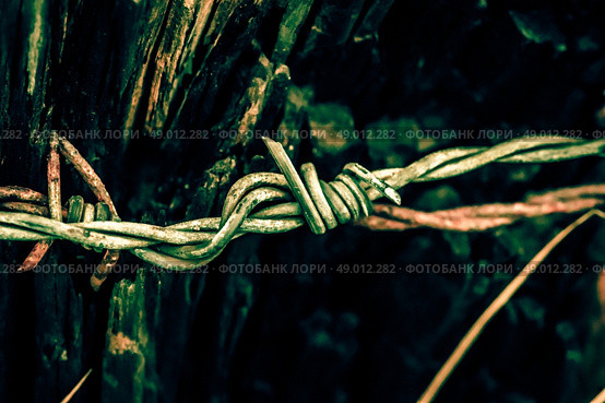Metal barb wire around a wodden pole. Стоковое фото, агентство Ingram Publishing / Фотобанк Лори