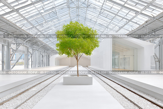 Modern greenhouse interior showcasing solitary tree with skylights and white architecture. Стоковое AI-изображение, AI-художник Мария Фадеева / Фотобанк Лори