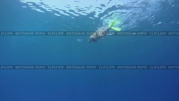 Молодая женщина плывет по поверхности воды, вид из-под воды. Стоковое видео, видеограф Некрасов Андрей / Фотобанк Лори
