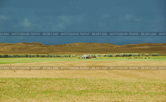 Mongolia. Sands Mongol Els (2019 год). Стоковое фото, фотограф Александр Fanfo / Фотобанк Лори