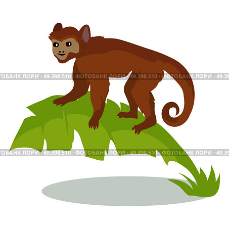 Monkey cartoon character.  Monkey on palm leaves flat vector isolated on white. African fauna. Ape in jungle icon. Wild animal illustration for zoo ad, nature concept, children book illustrating. Стоковая иллюстрация, агентство Ingram Publishing / Фотобанк Лори