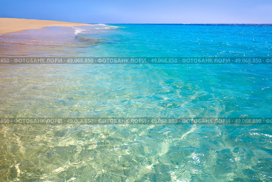 Morro Jable Matorral beach Jandia in Pajara of Fuerteventura at Canary Islands. Стоковое фото, агентство Ingram Publishing / Фотобанк Лори