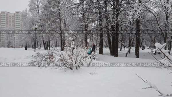 Moscow, Russia -Feb 13. 2019. Parents with baby strollers are walking in city park during a snowfall. Редакционное видео, видеограф Володина Ольга / Фотобанк Лори